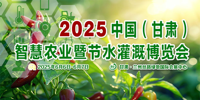 景泰：高效节水滴灌工程让农民“尝甜头”