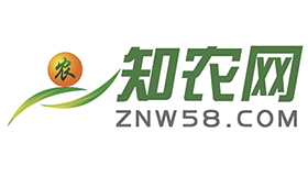 知农网
